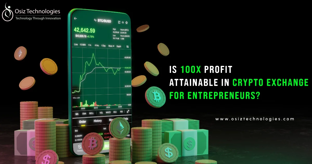 Is 100x Profit Possible for Entrepreneurs in the Crypto Exchange Platform Space?